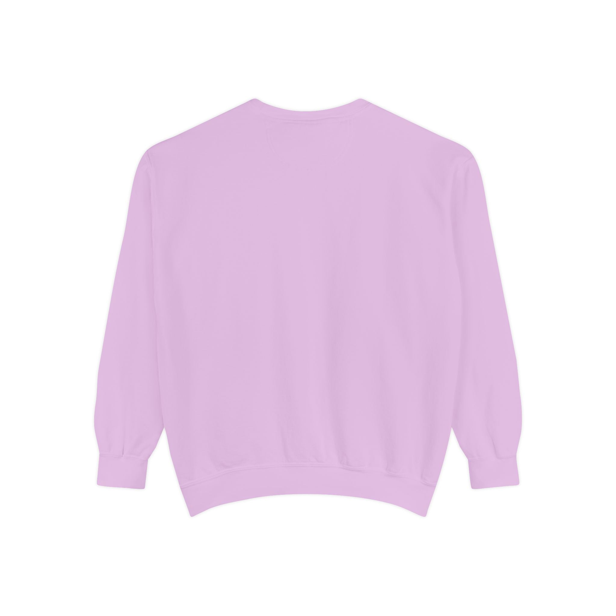 Duck Graphic Sweatshirt — Watercolor Flying Duck on Coral Garment-Dyed Crewneck